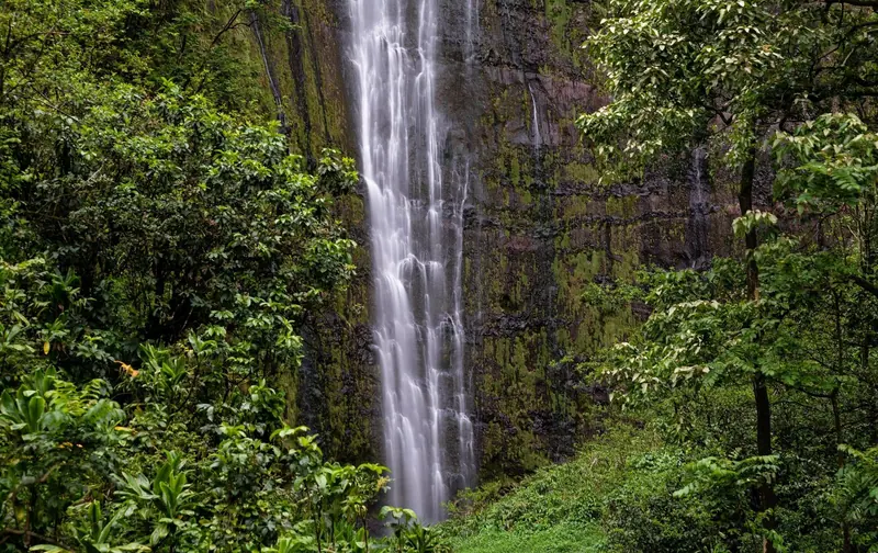 Waimoku Falls at the end of the Pipiwai Trail