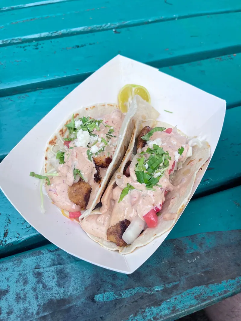 Tacos with chipotle sauce, pickled onion and cilantro on a teal table